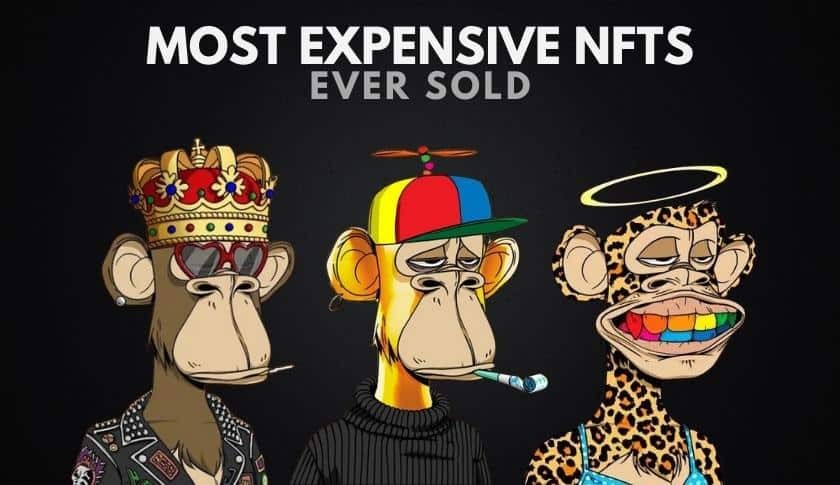 צעצועי אספנות דיגיטליים – האם יש להם עתיד?